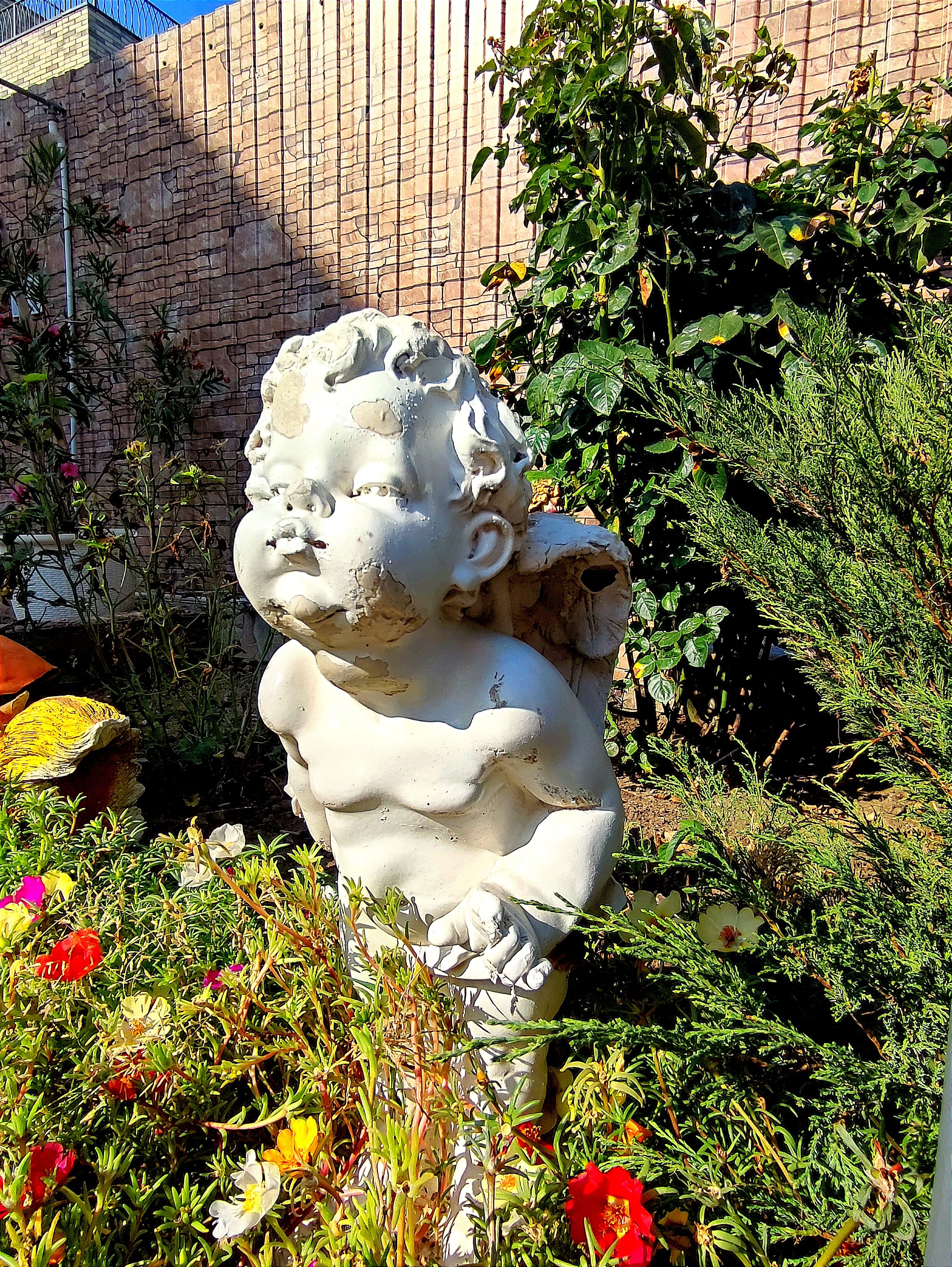 Фото Blaga Paradise