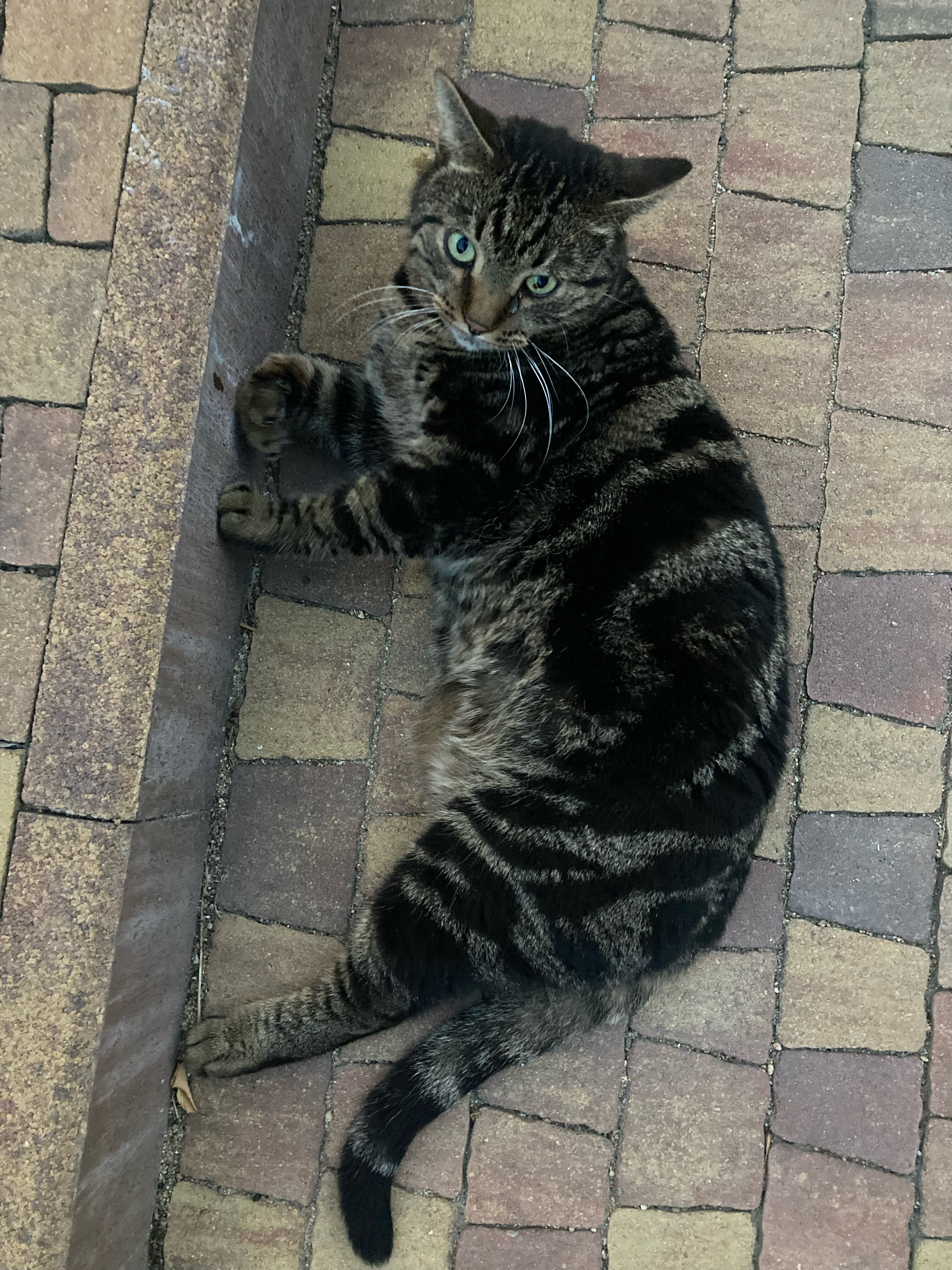 Фото Бархатный сезон