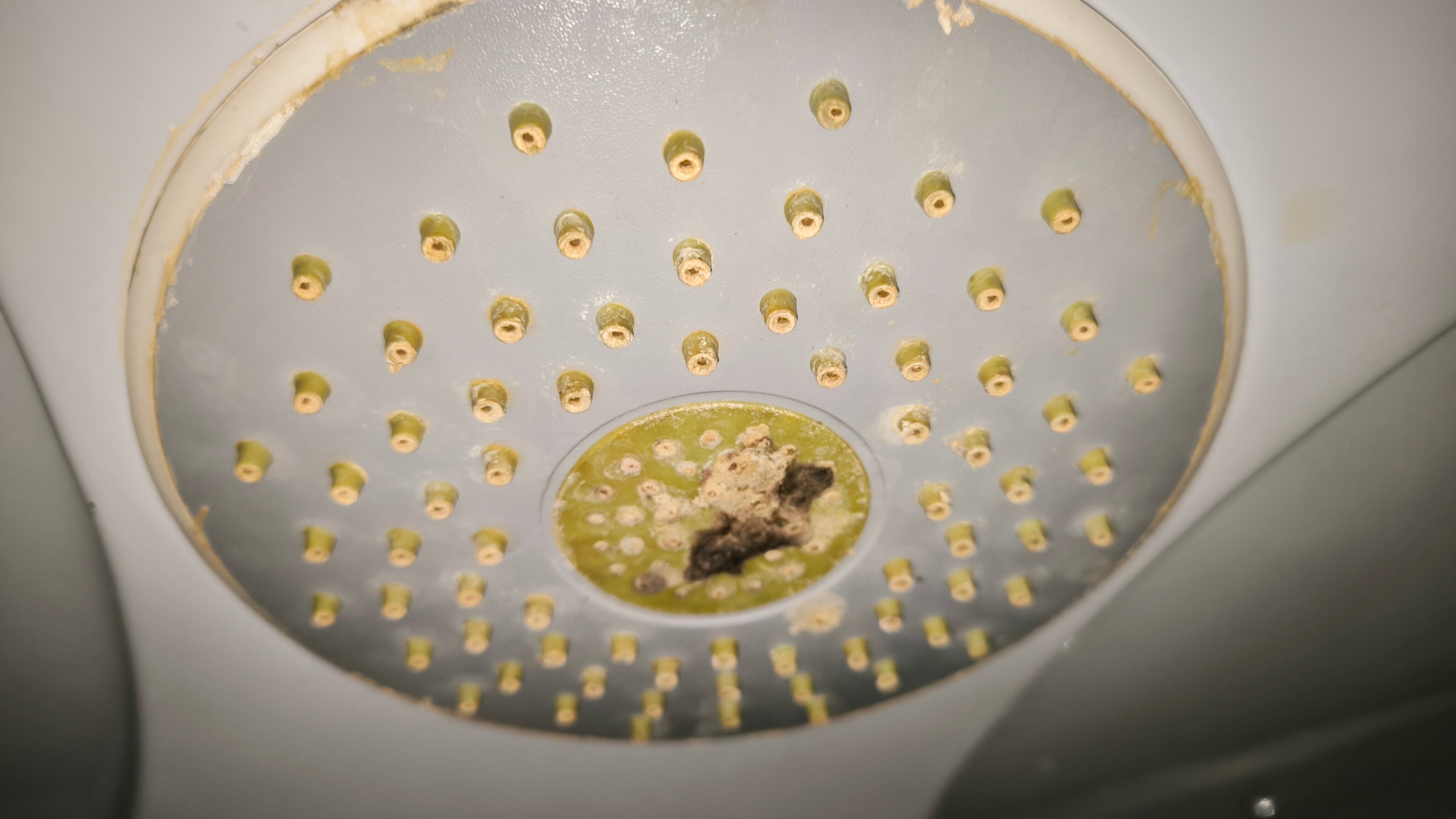 Фото Славянская хата