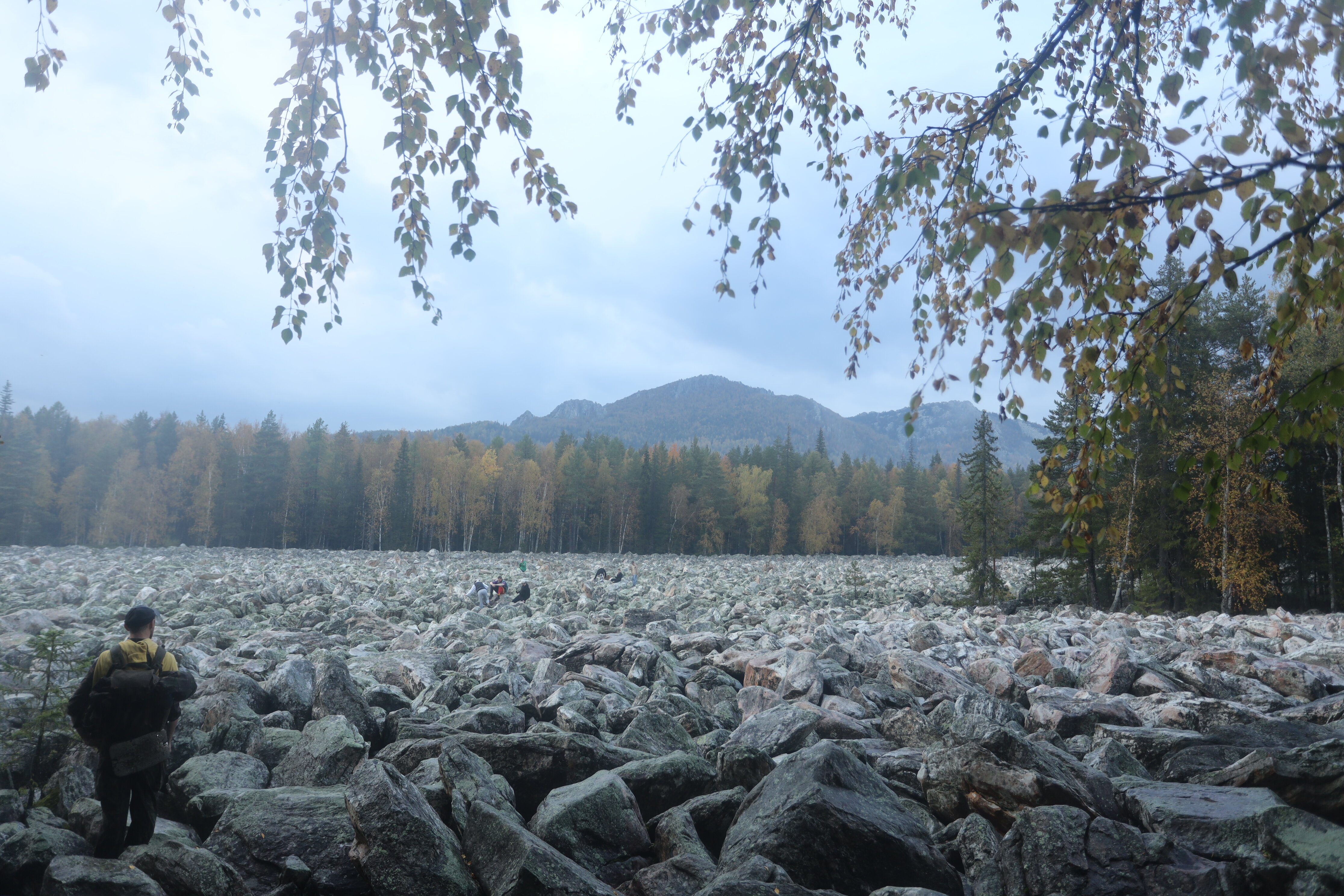 Фото Ясная поляна