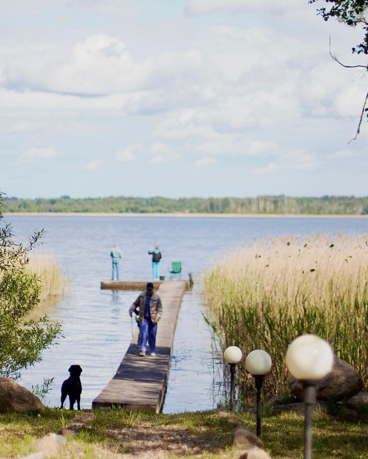 Фото Хуторок Себежский берег озера