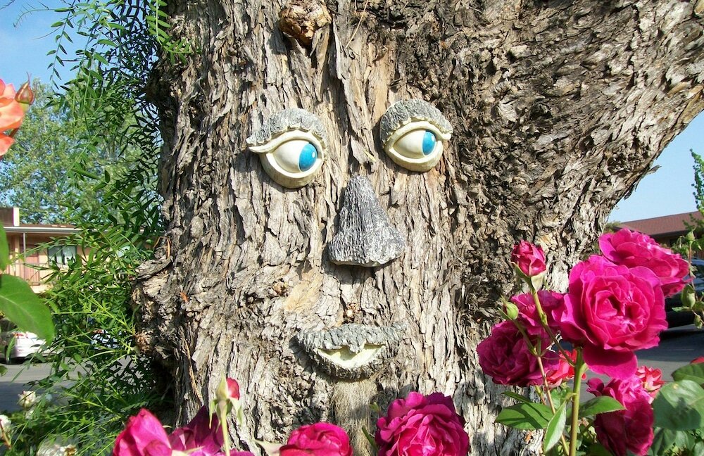 Фото Adelaide Inn