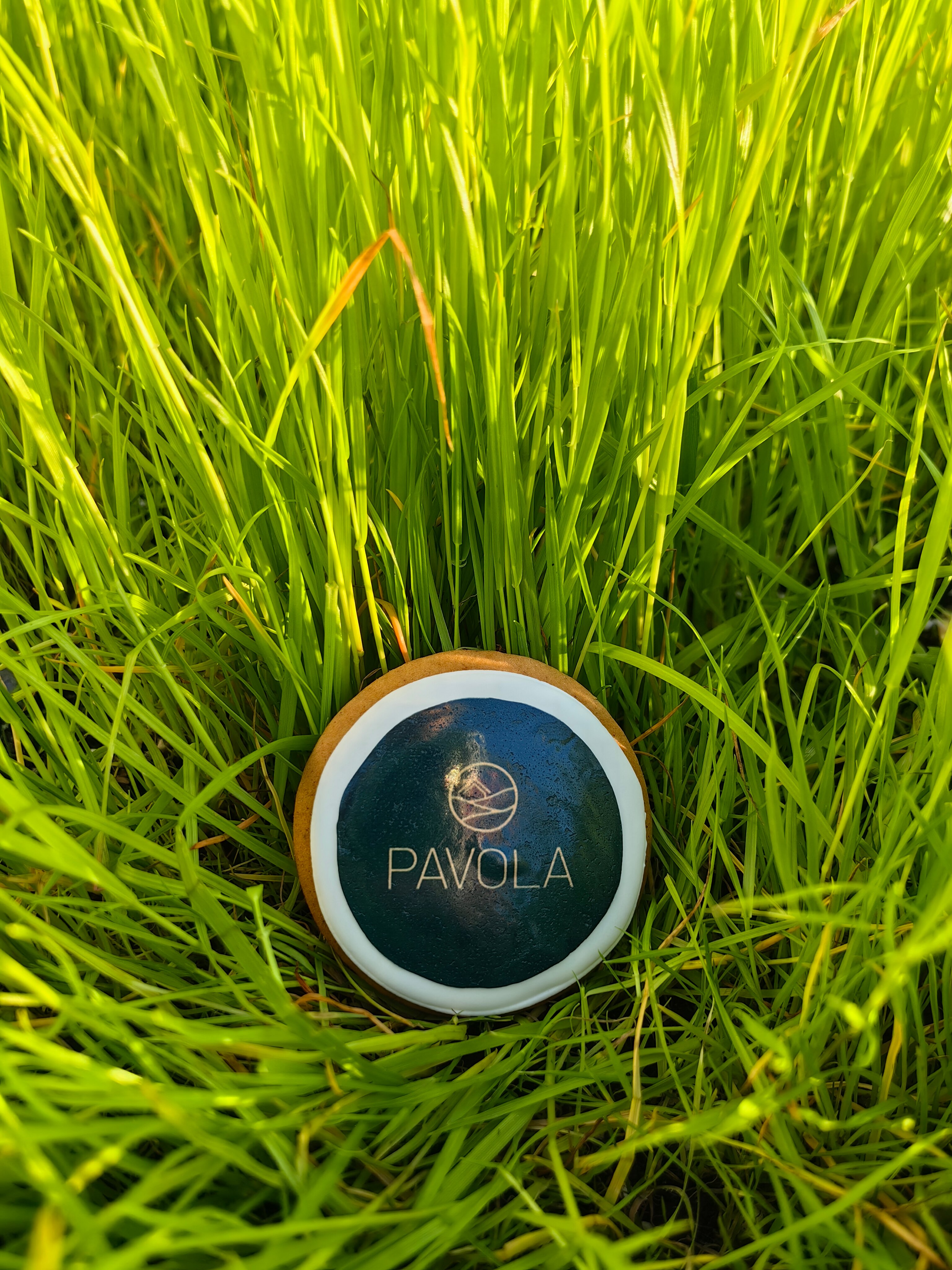 Фото Павола