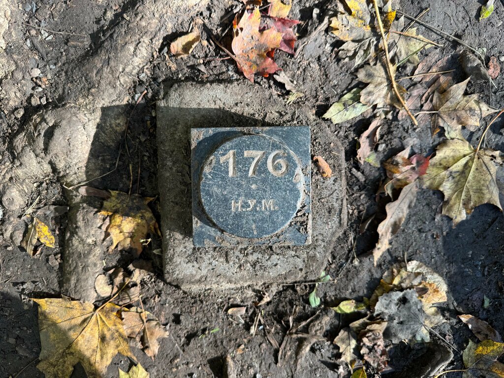 Landmark, attraction Высотная отметка 176 над уровнем моря, Krasnoye Selo, photo