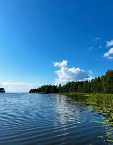 Усадьба Куртюга — фото 3