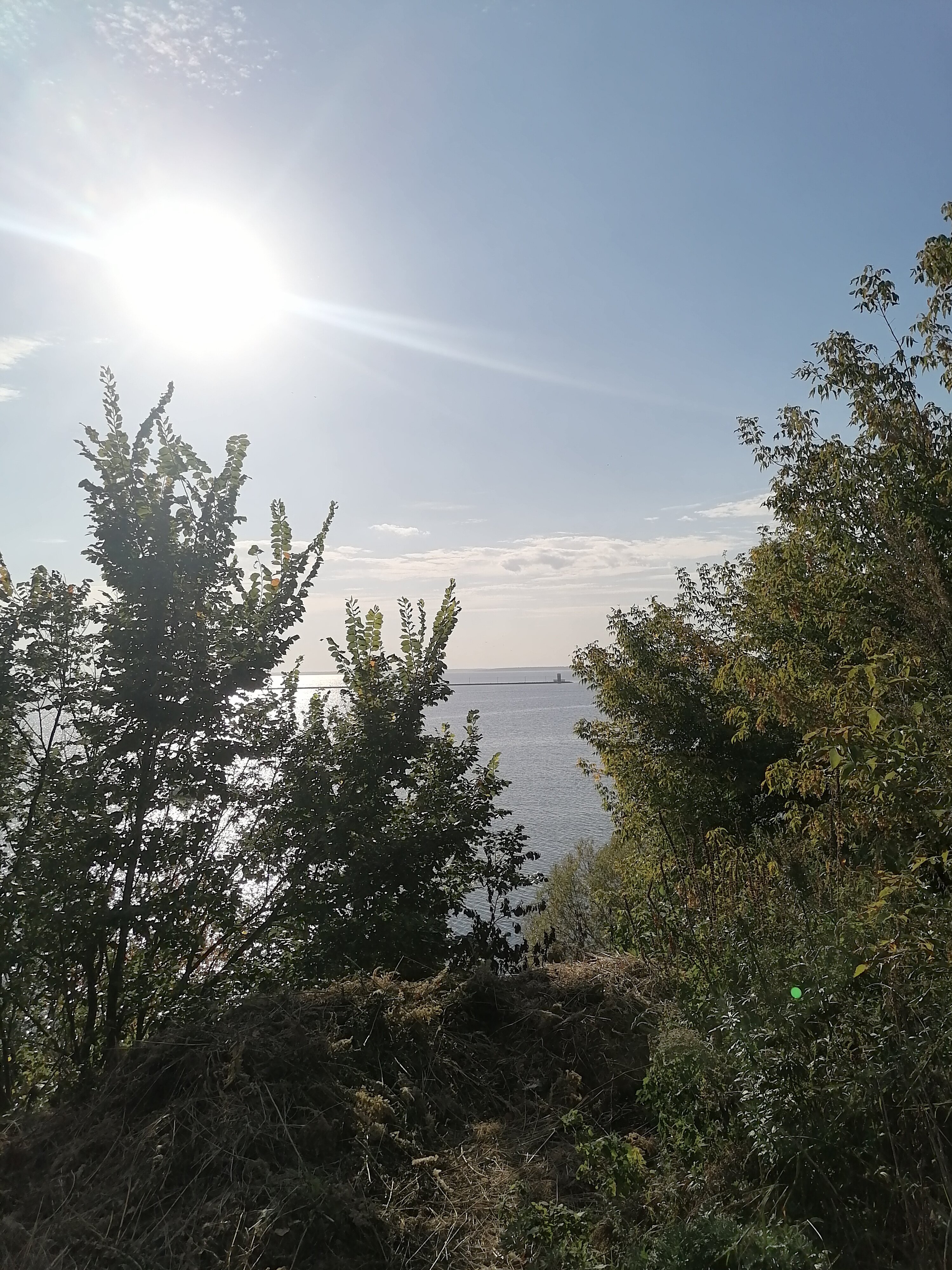 Фото Тихие дачи