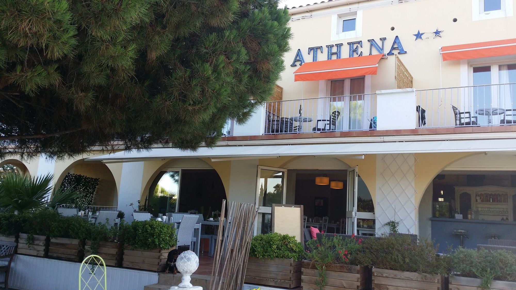 Фото Hotel Athéna