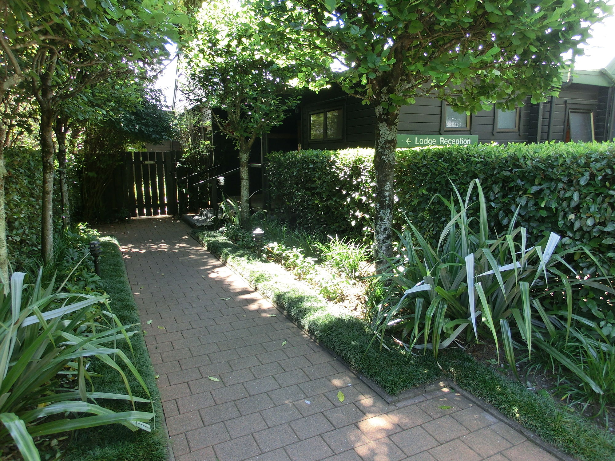 Фото Tongariro Lodge