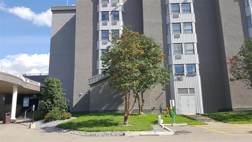 Фото Coast West Edmonton Hotel & Conference Centre