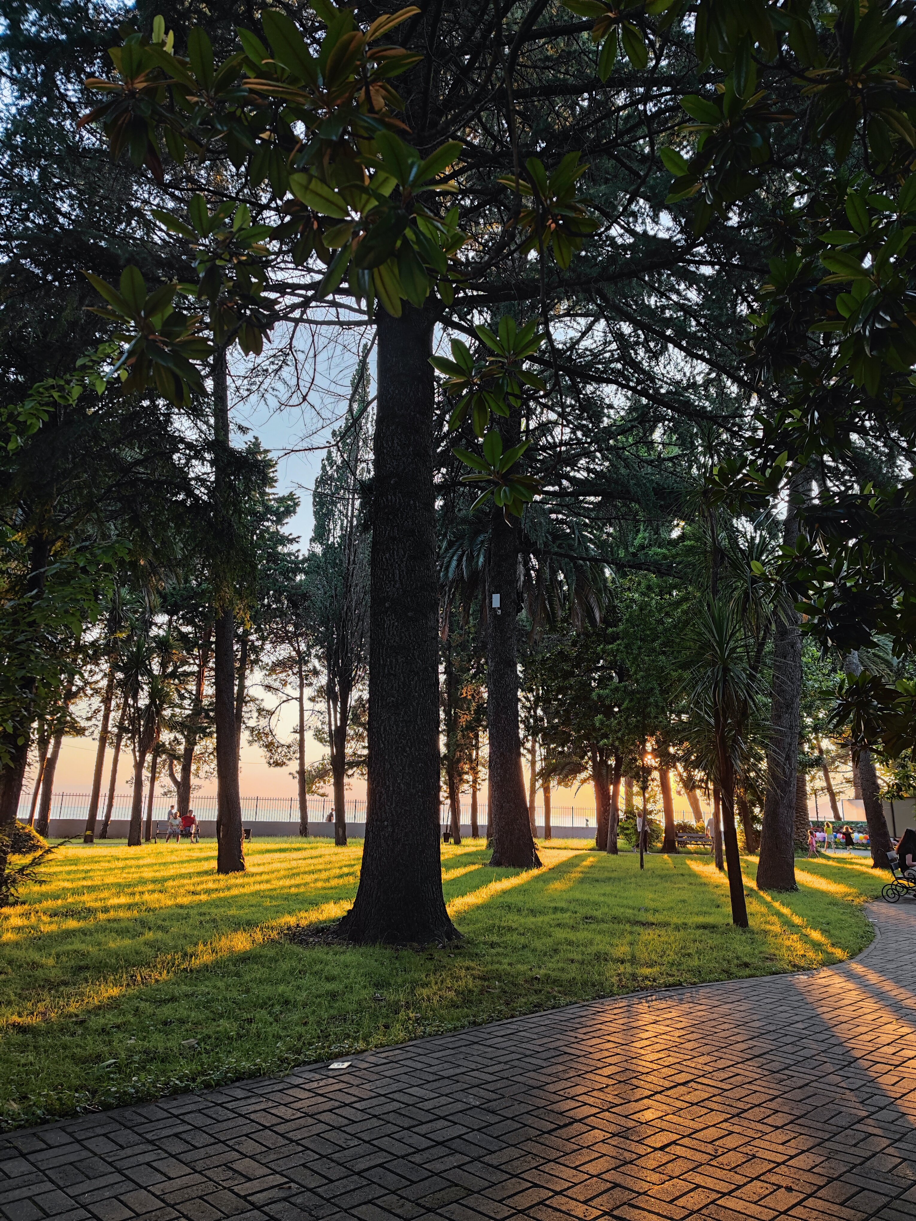 Фото Жоэквара