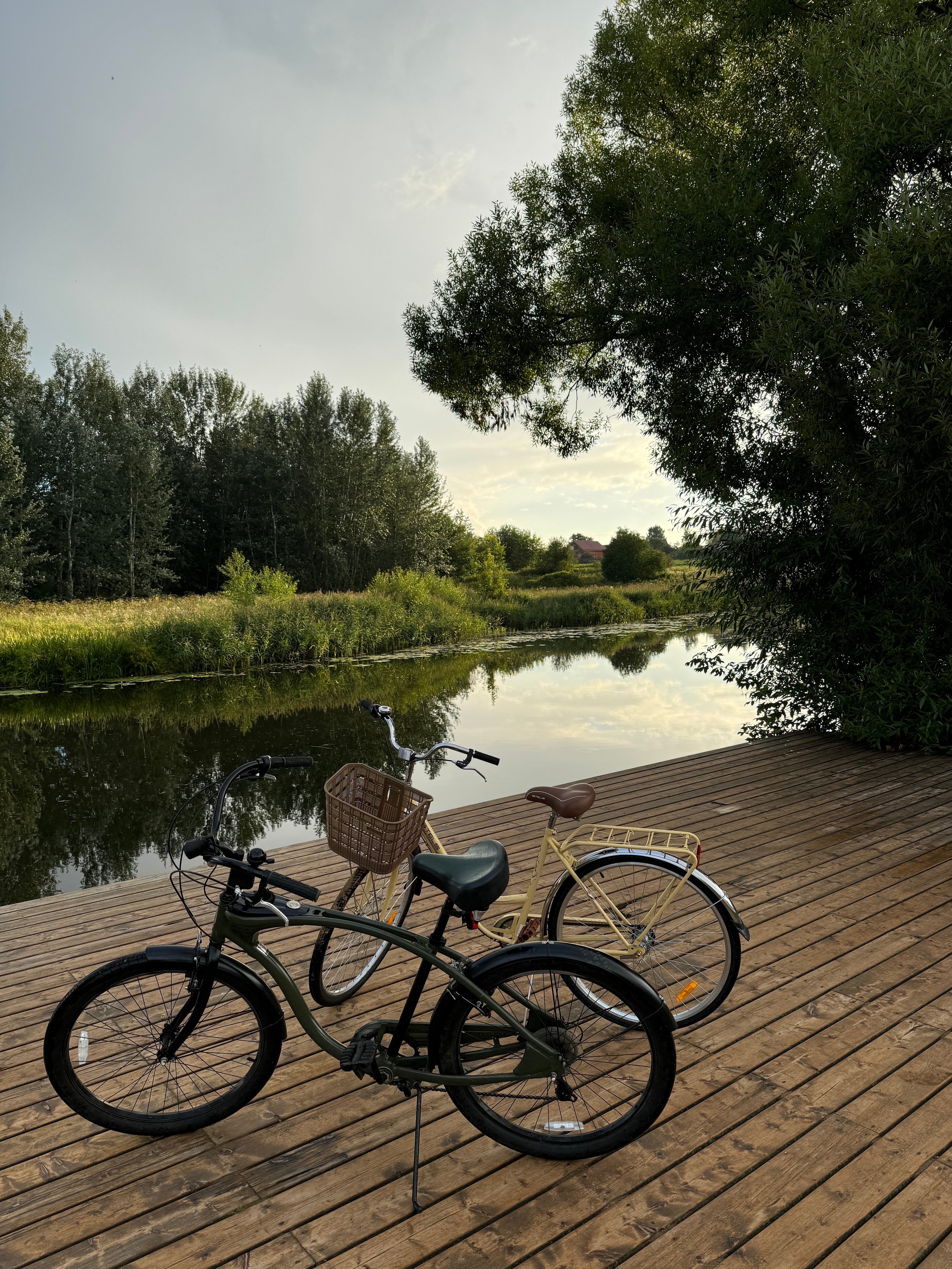 Фото Каренин