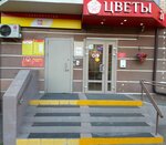 Visa Center Kurkino (Solovyinaya Roscha Street, 12/4), asistencia en la obtención de visados y pasaportes