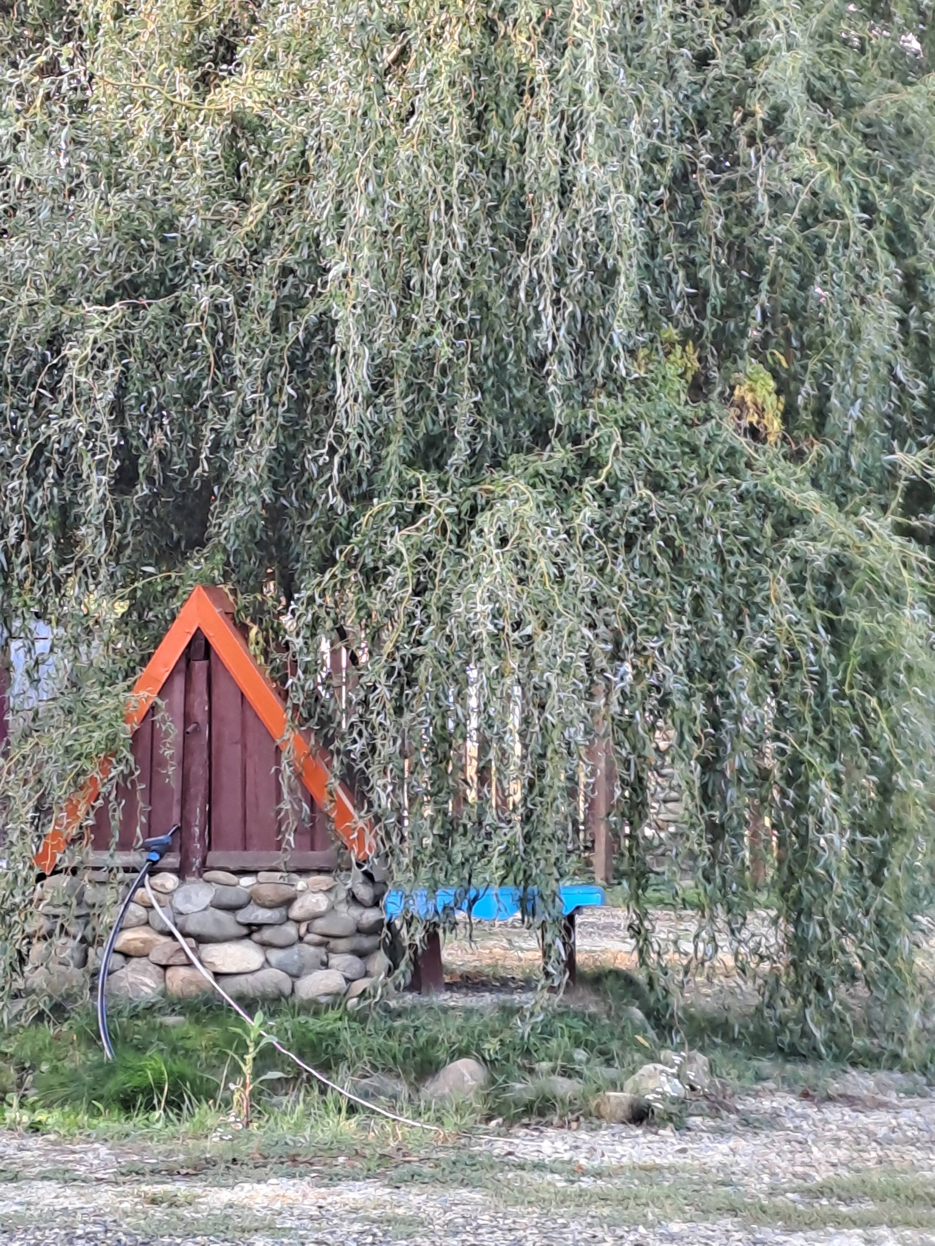 Фото Золотой ключик