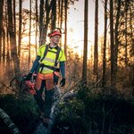 Cullas Husqvarna (İstanbul, Beyoğlu, Arap Cami Mah., Tersane Cad., 23) ، معدات زراعة الحدائق