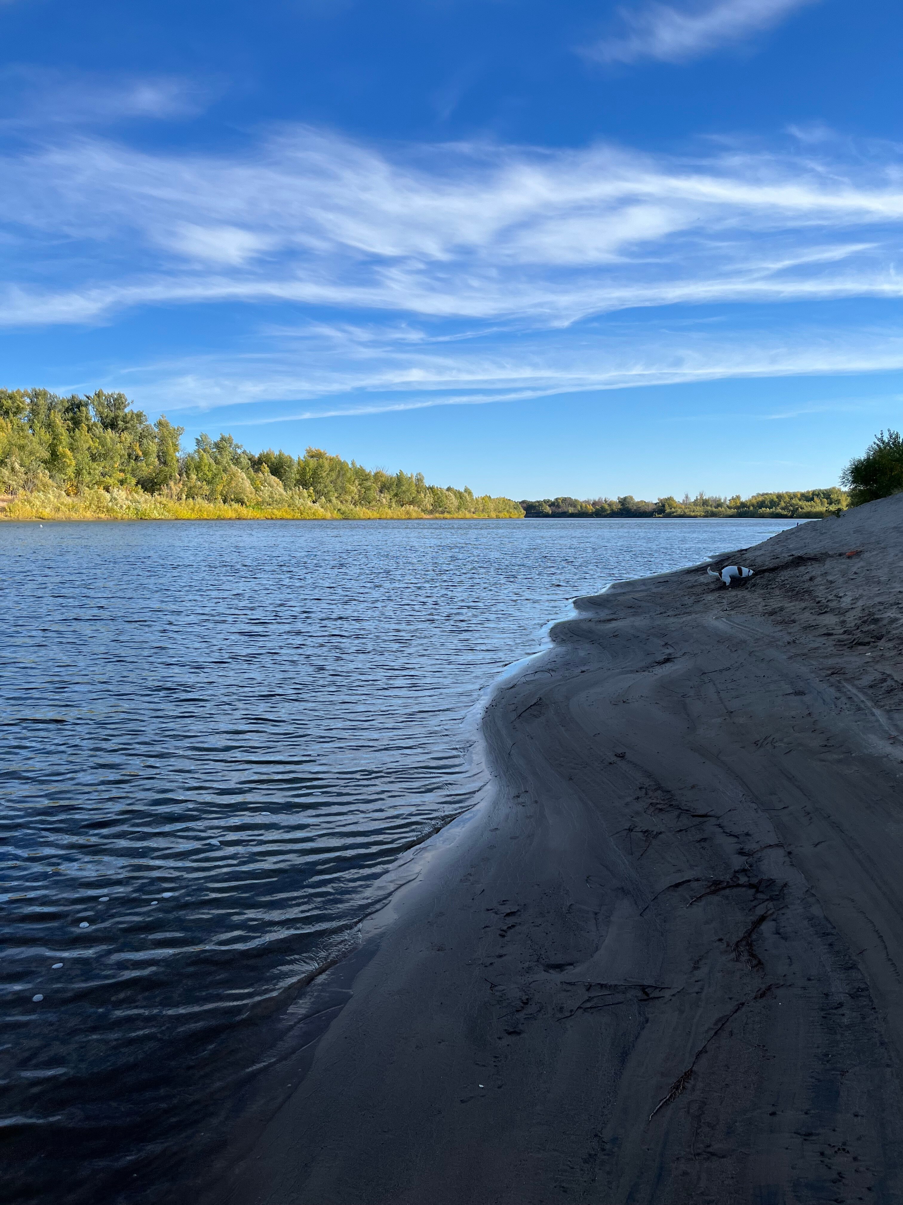 Фото Лесная