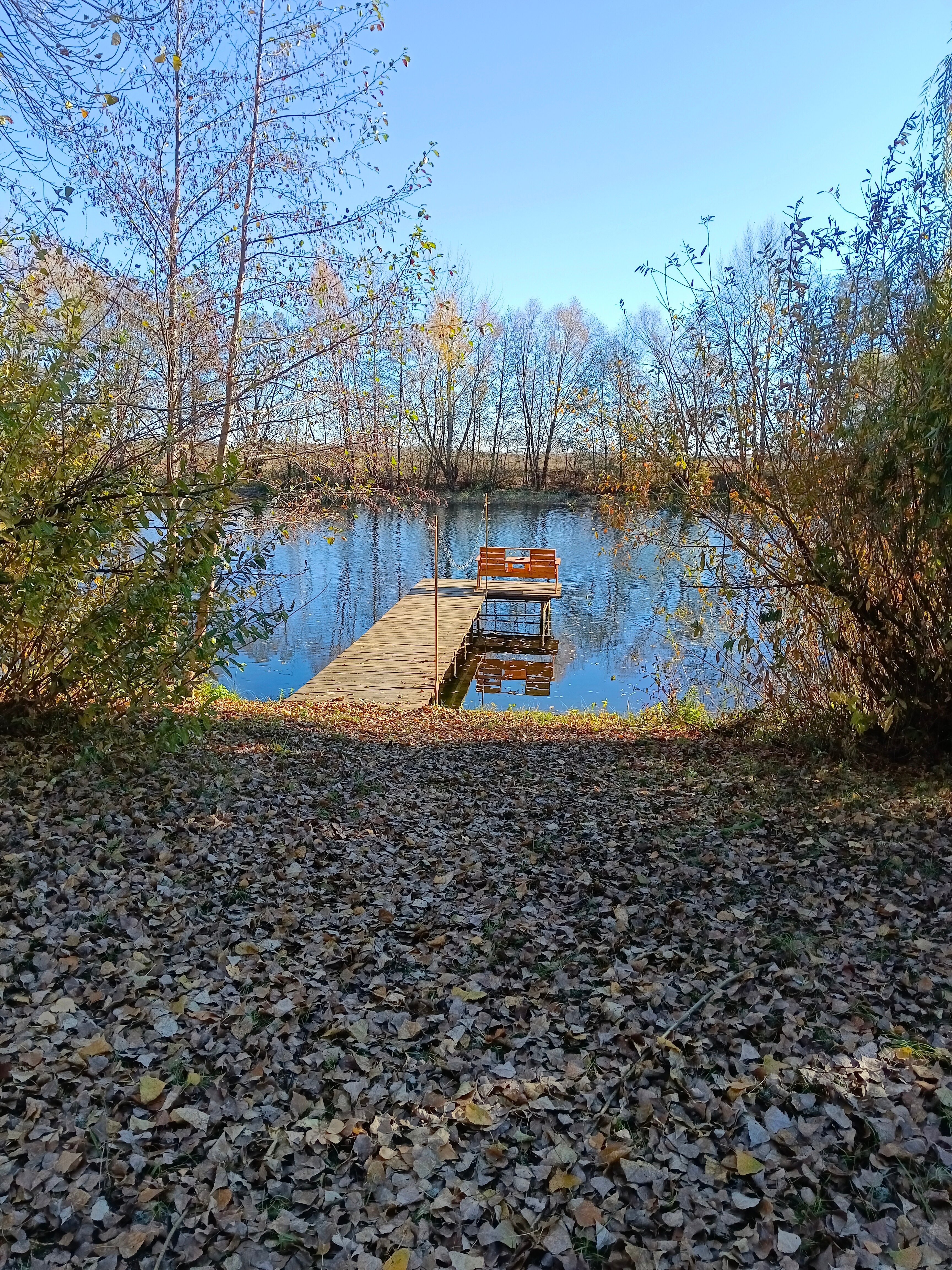 Фото Елховый берег