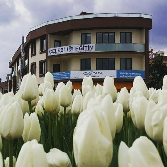 Organization of events Konrapa Organization & Consultancy, Duzce, photo