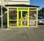 Студия развития детей академия детства (mikrorayon Novy gorod, prospekt Lenina, 113А), children's developmental center
