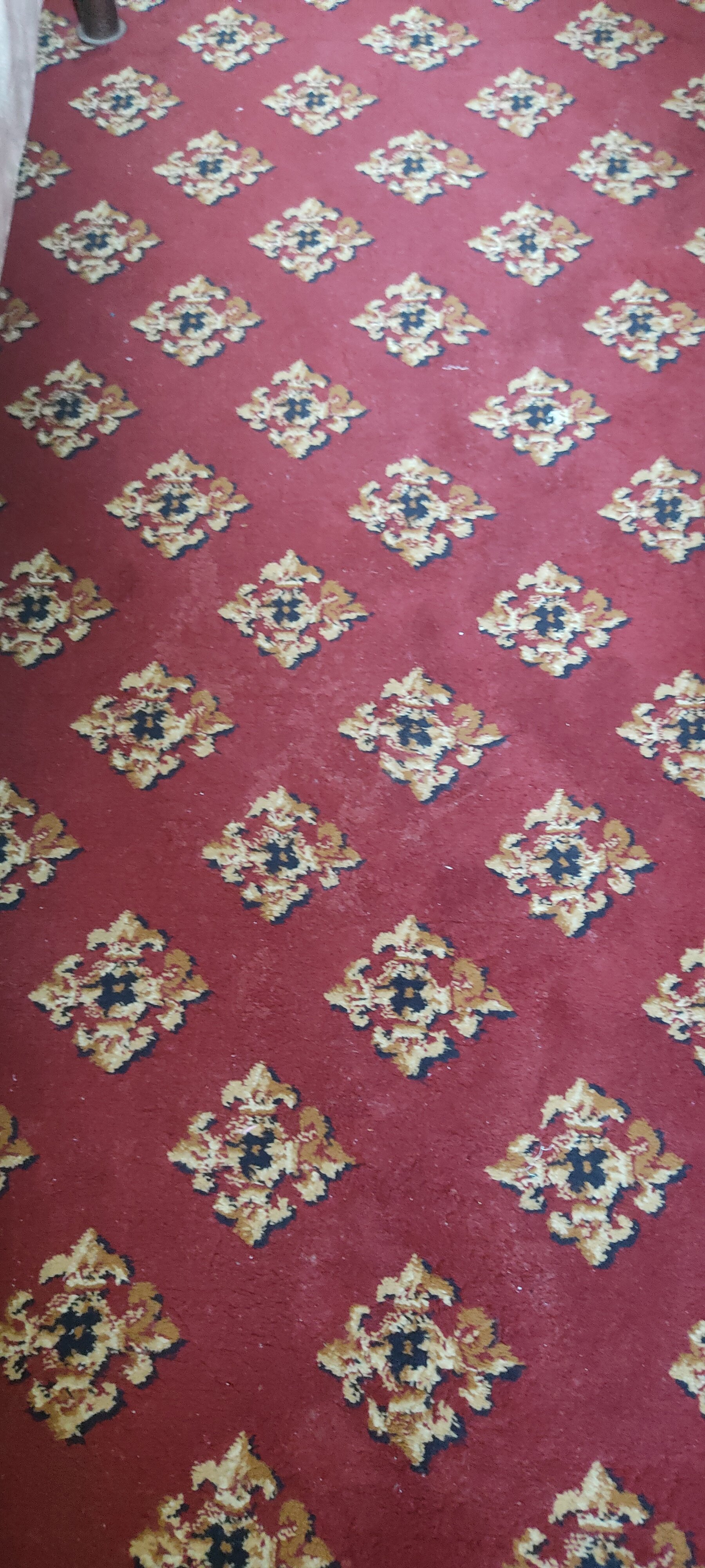 Фото Осиё гранд