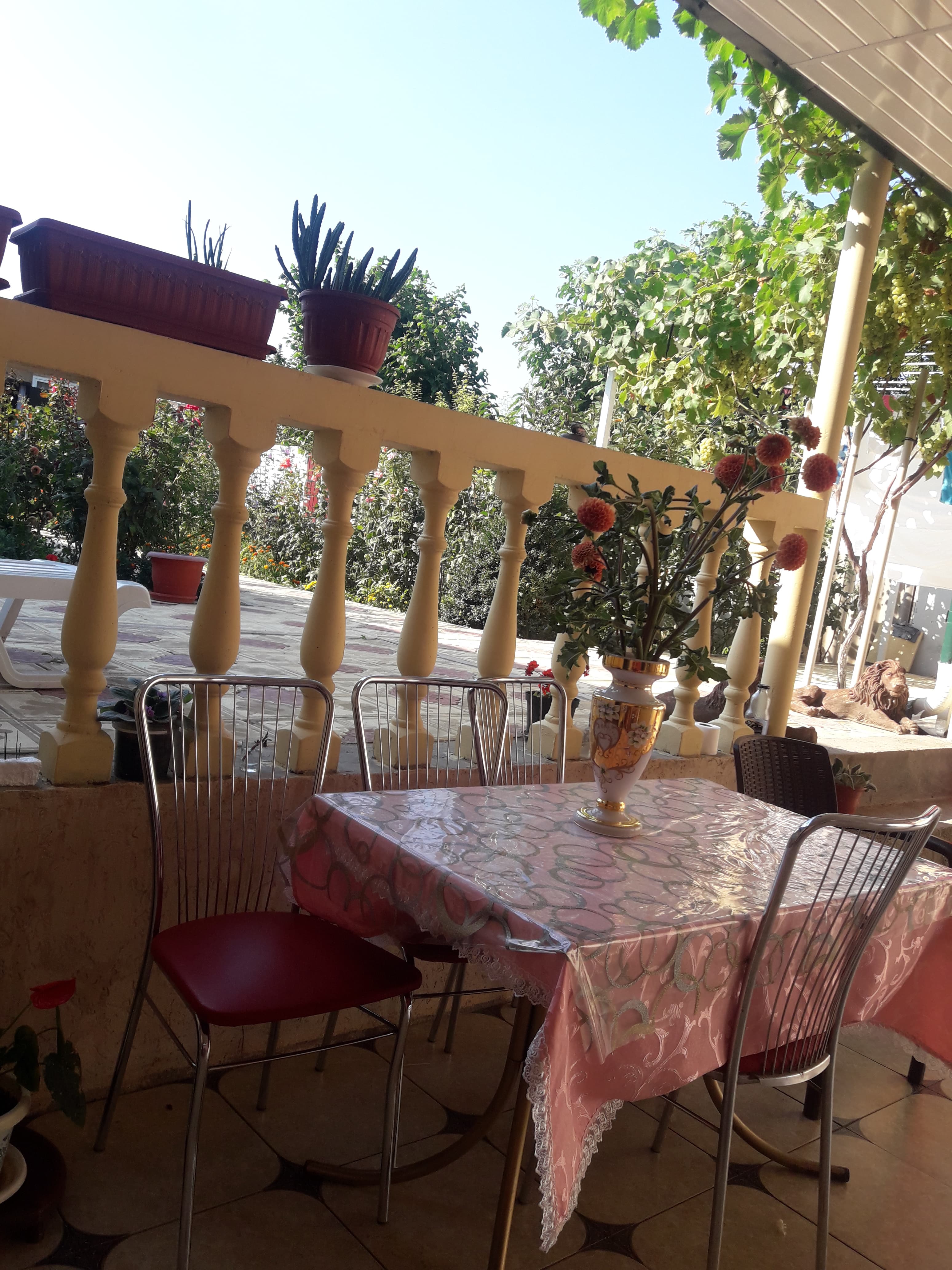 Фото Рассвет