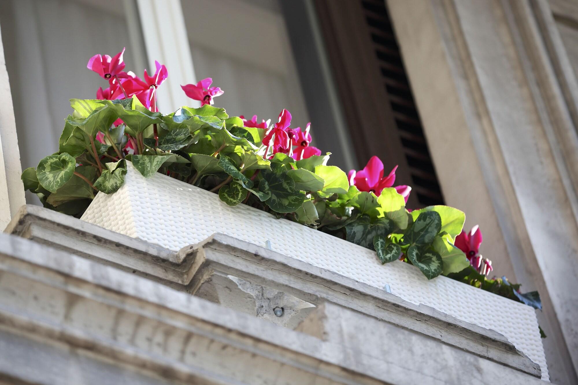 Фото Tullia e Prisca Relais