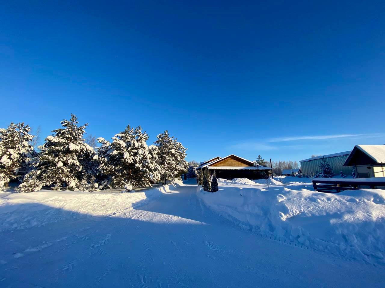 Фото На Чеснаве