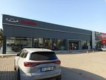 Plaza Erc (İzmir, Gaziemir, Akcay Avenue, 32), car dealership