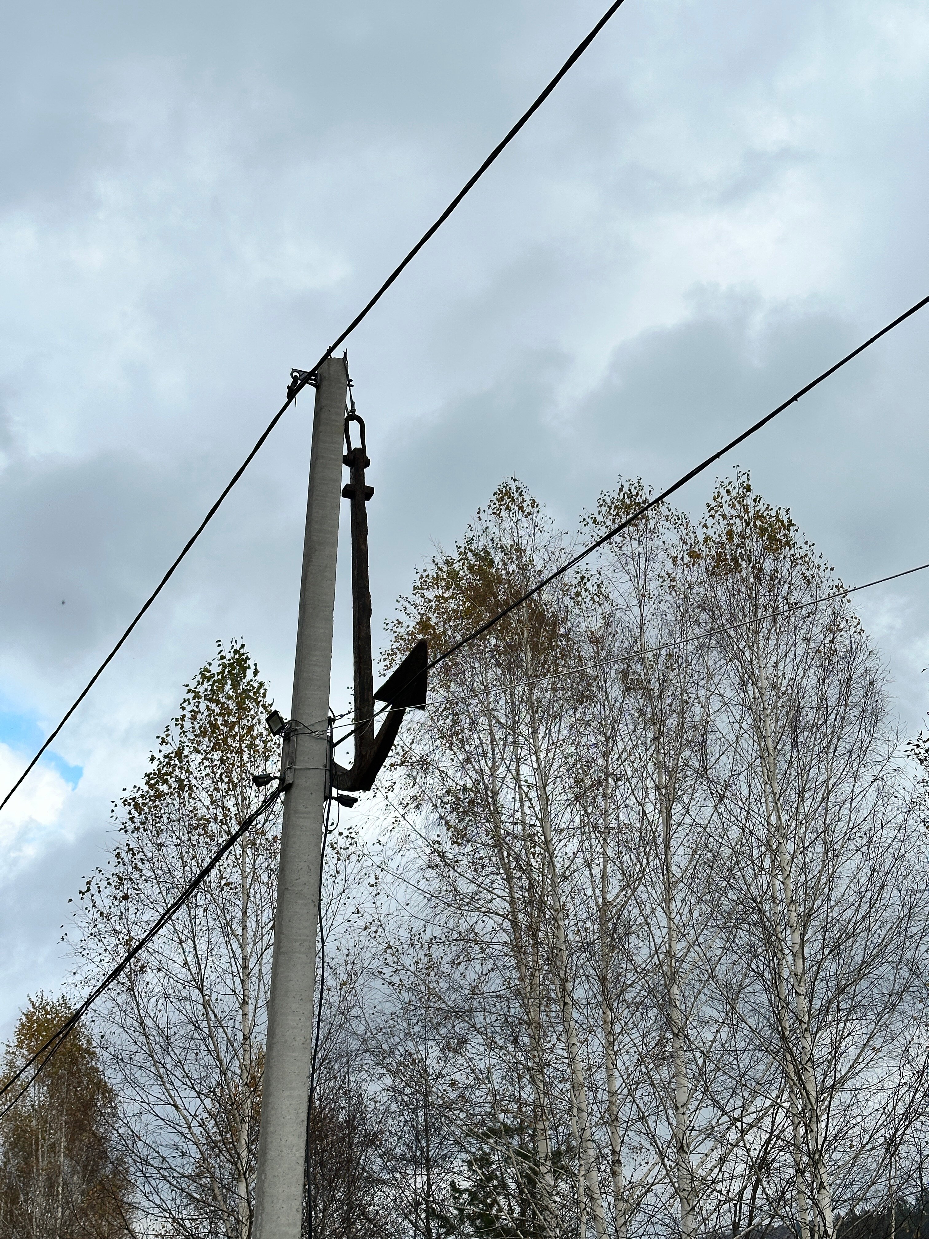 Фото Прилесье