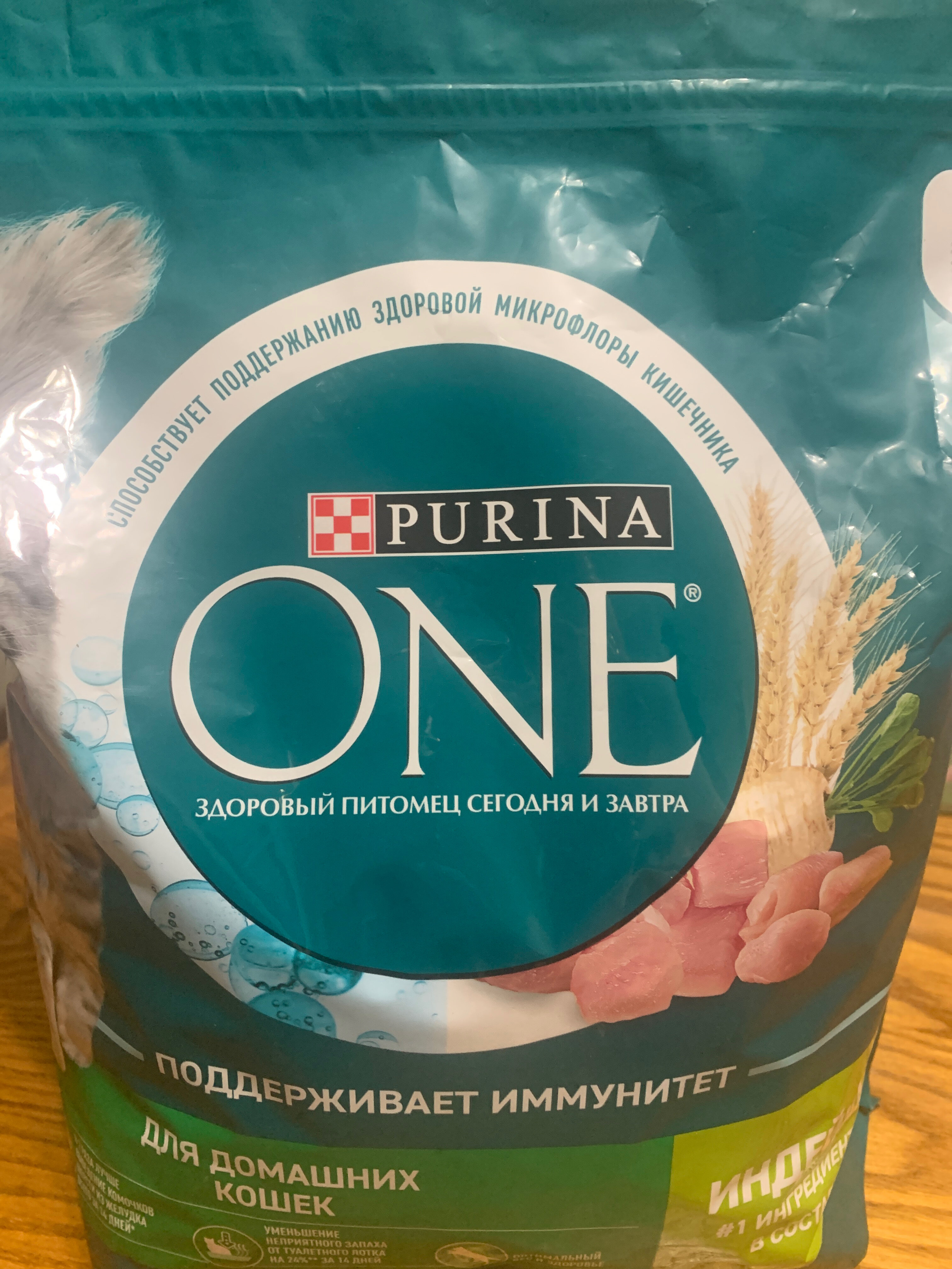 Рогатый заяц - фото 11