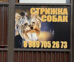 AlMaGroom (Krasnoarmeyskaya Street, 27), pet salon