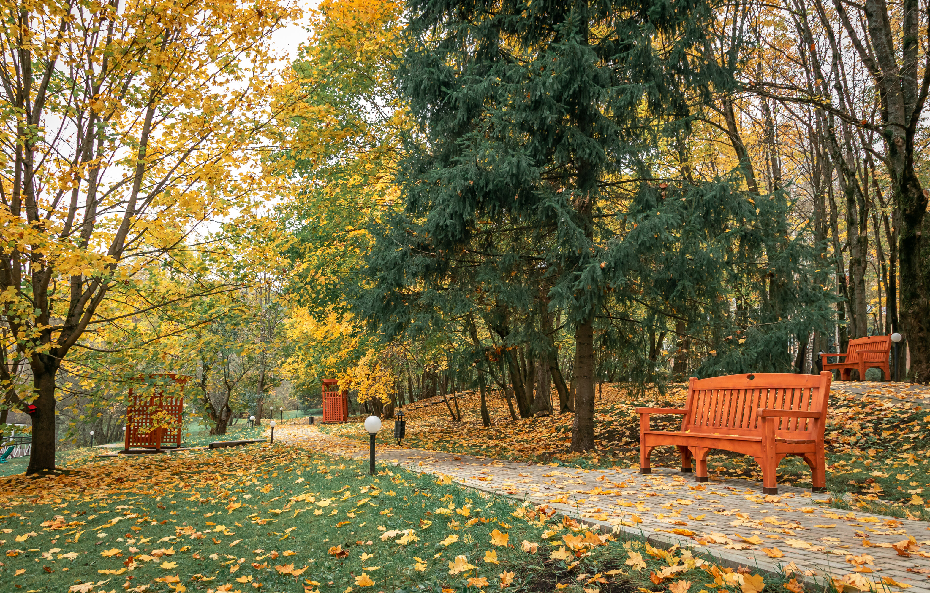 Фото Планерное