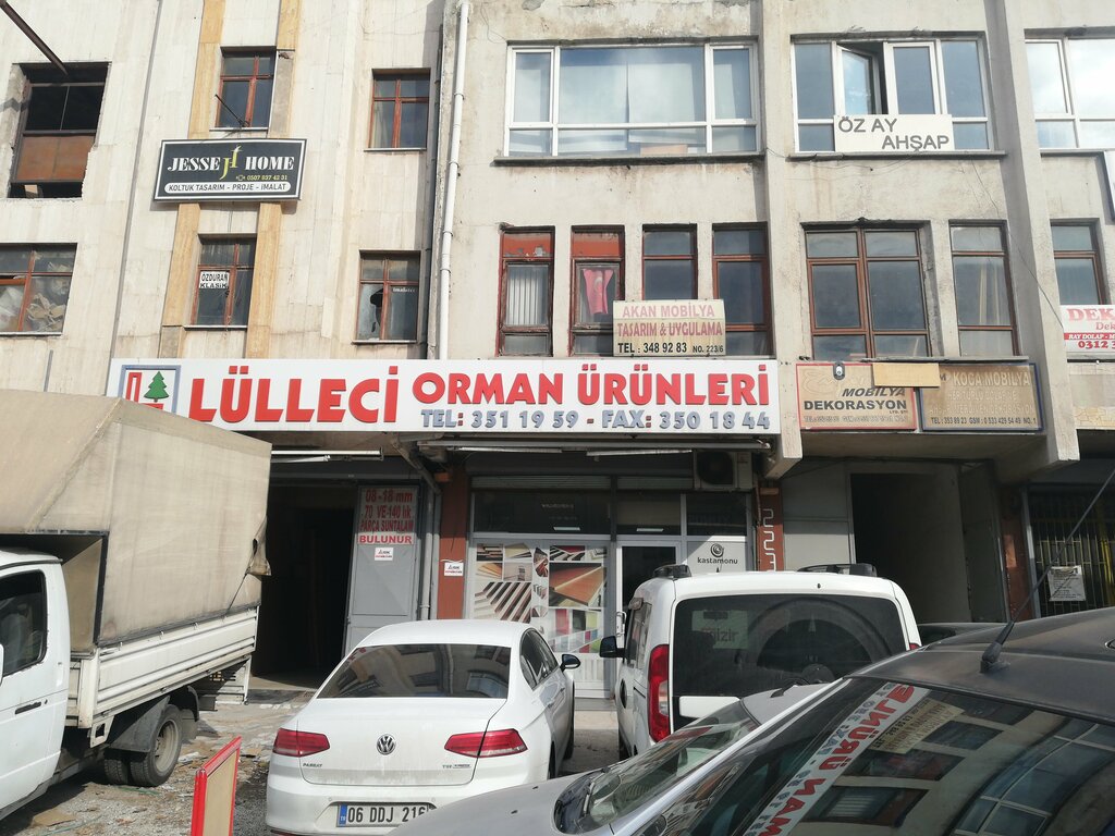 Logging, timber sales Luleci, Ankara, photo