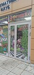 Феникс (Penzenskiy Boulevard, 16А), play room
