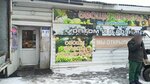 Овощи и фрукты (Traktovaya Street, 16), greengrocery