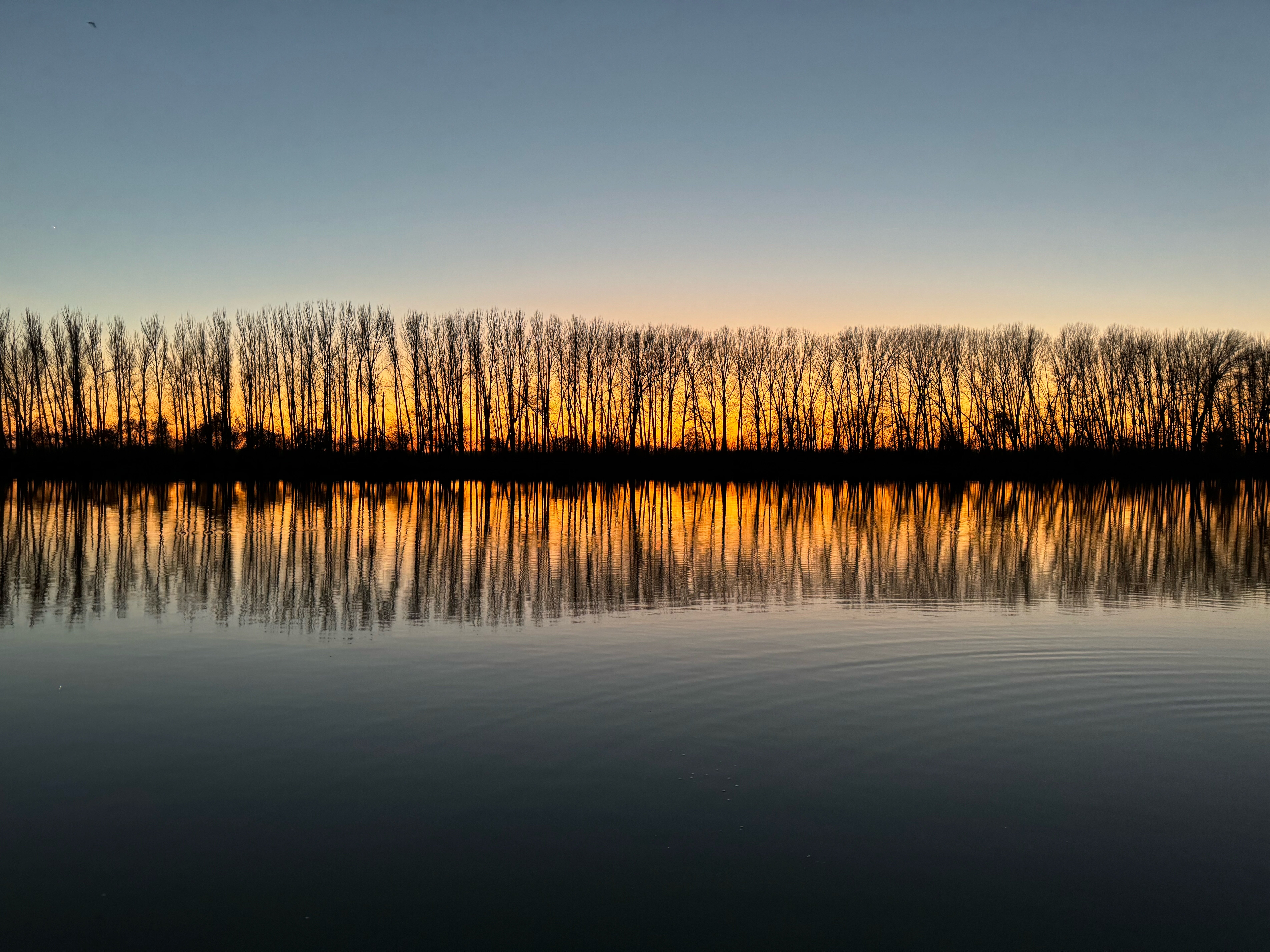 Фото Рыбаградъ