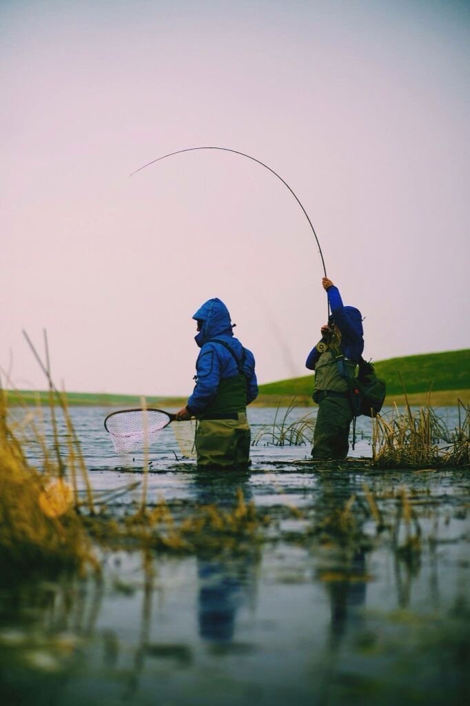 Фото Берендей