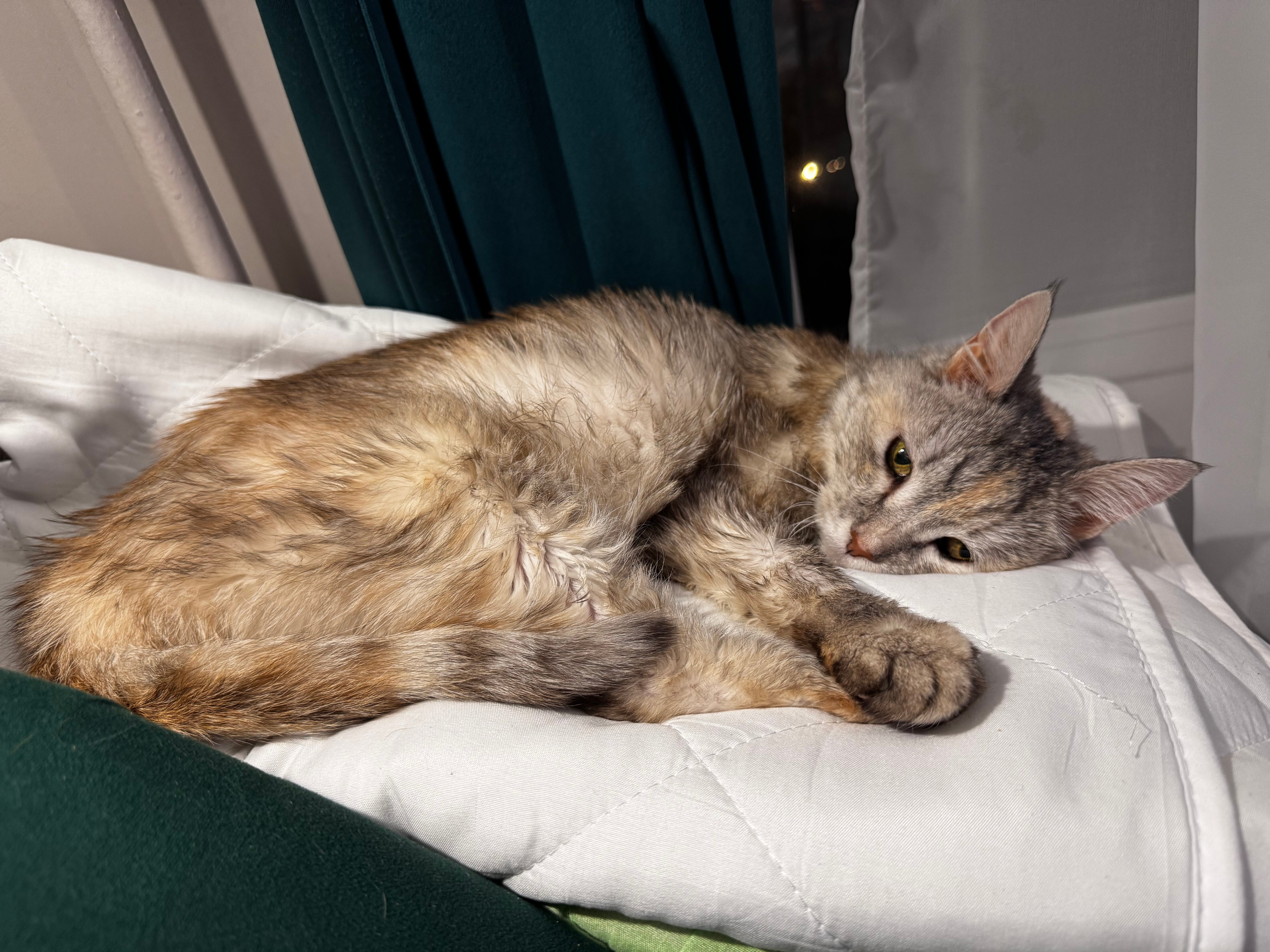 Фото Private Apartments