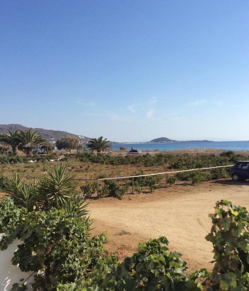 Фото Aronis Plaka Naxos