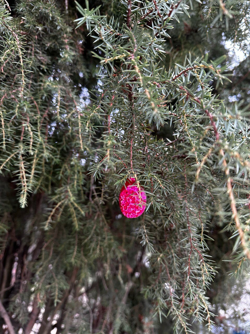 Фото Cottage at Utrennyaya Street
