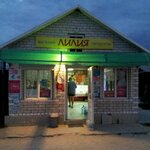Лилия (selo Novaya Usman, Dorozhnaya ulitsa, 60Б), grocery