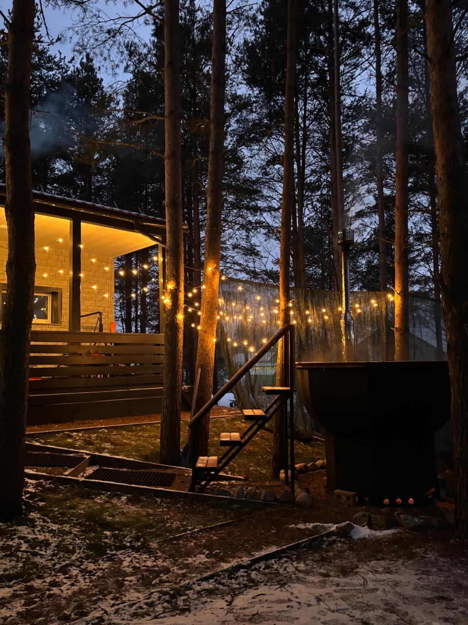 Фото Хвойная Гармония