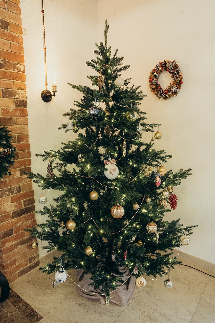 Фото Усадьба Плант