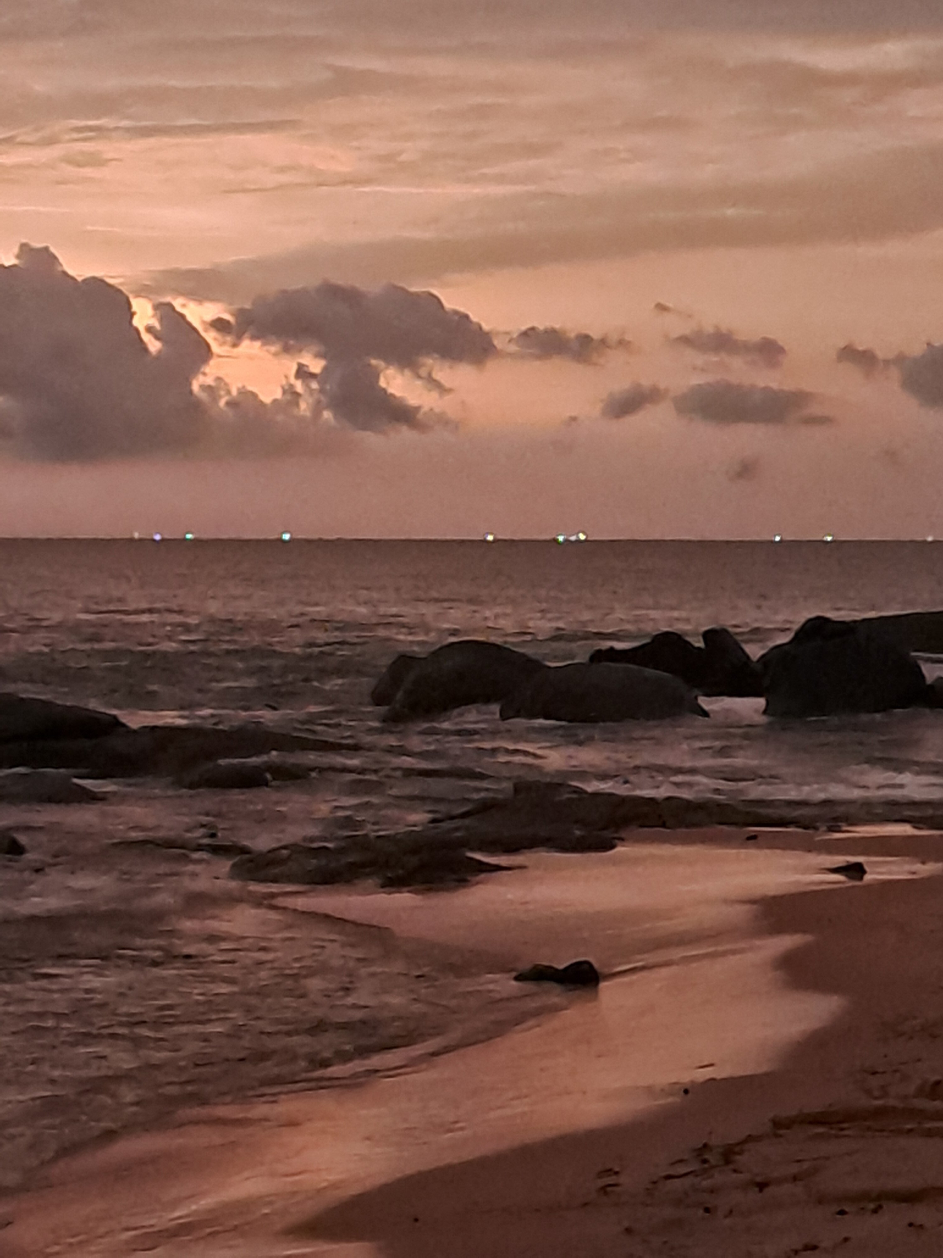 Фото Ramon Beach Resort