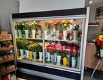 Magnolia Floristry (Kirklareli, Kirklareli Merkez District, Fevzi Cakmak Boulevard, 32), flower shop