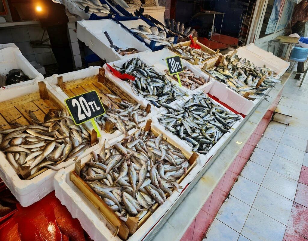 Restaurant Kapuz Fish House, Zonguldak, photo