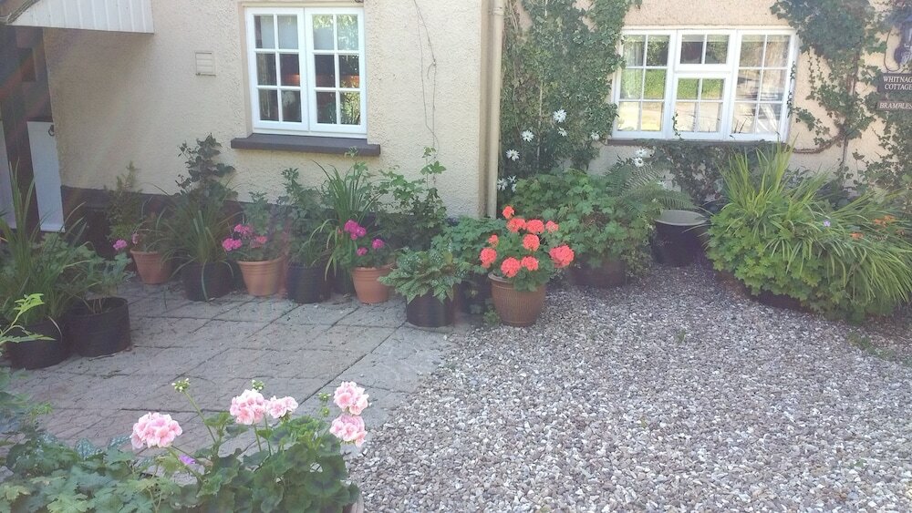 Фото Brambles Bed and Breakfast