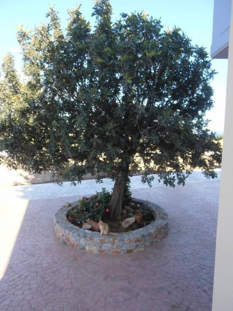 Фото Aquamarine Hotel