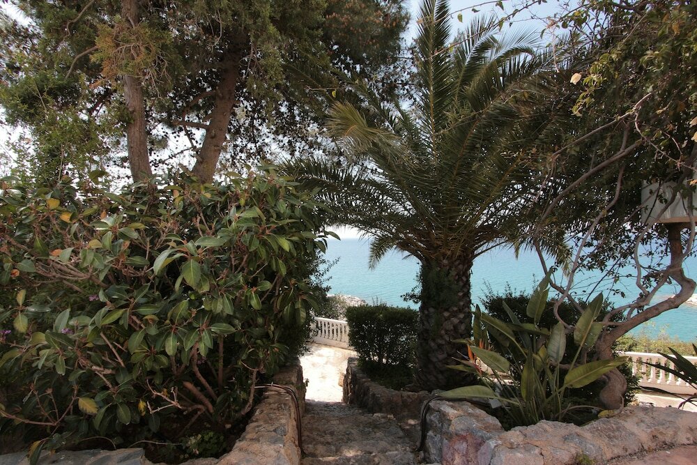 Фото Apollon Apartments