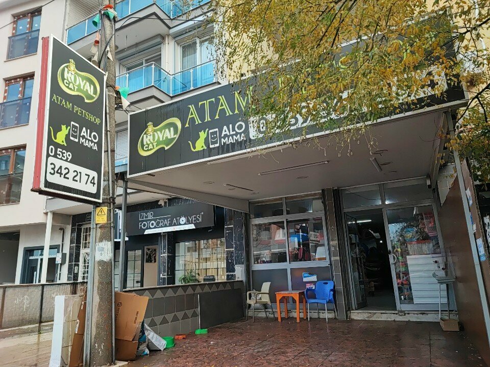 Pet shop Atam Petshop, Izmir, photo