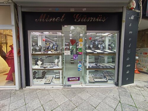 Minel Gümüş Fotoğraf 2